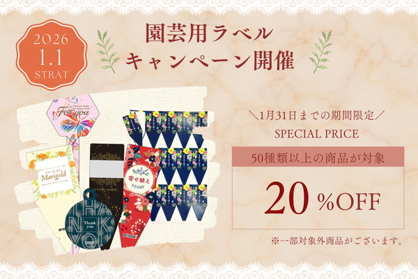 キャンペーン開催のお知らせ 1月1日から