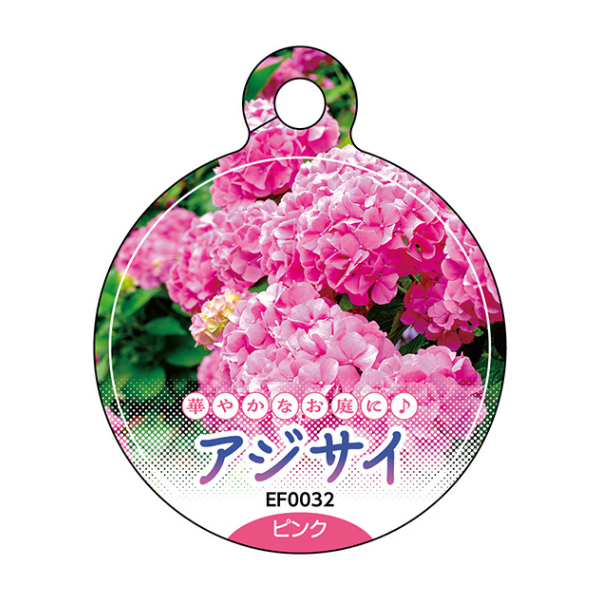 ピンク色のアジサイで使用できる吊りラベル
