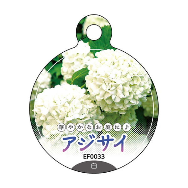 園芸用吊りラベル 100枚1束 / NCサイズ（アジサイ白・耐水LIMEX製）