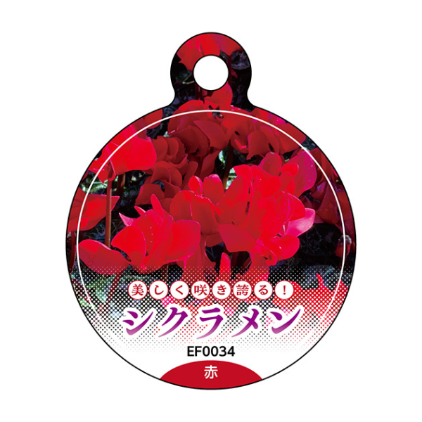 赤色のシクラメンで使用できる吊りラベル