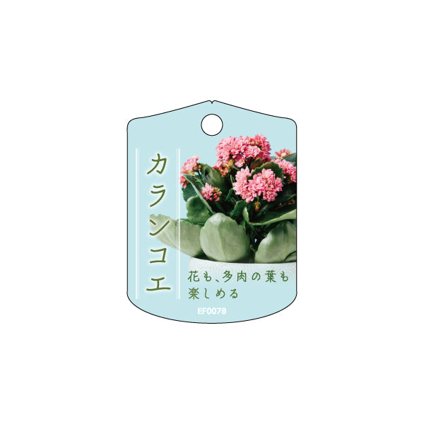 園芸用吊りラベル 100枚1束 / NIサイズ（カランコエ・耐水LIMEX製）