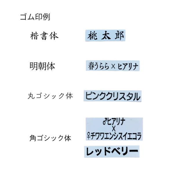 品種名用ゴム印　オリジナル製作